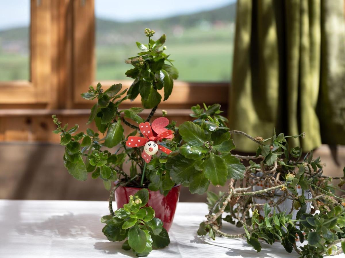 Quaint Holiday Home In Bad K Tzting With Garden Terrace Bad Koetzting Ngoại thất bức ảnh